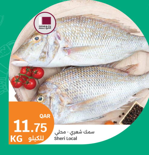 available at City Hypermarket in Qatar - Doha