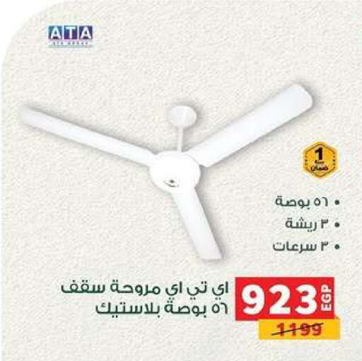 available at بنده in Egypt - القاهرة