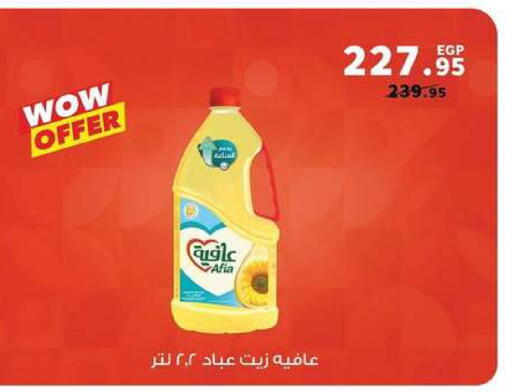 available at بنده in Egypt - القاهرة