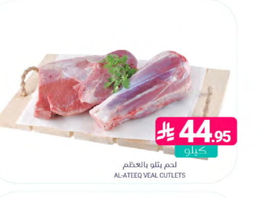 available at Muntazah Markets in KSA, Saudi Arabia, Saudi - Saihat