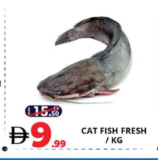 available at EXPRESS AL MADEENA HYPERMARKET LLC in UAE - Abu Dhabi