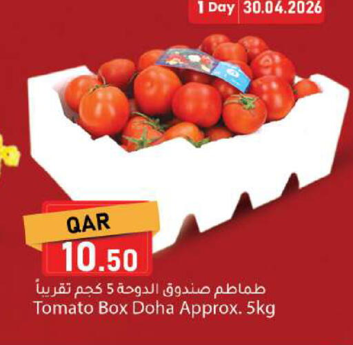 Tomato from Qatar available at دانا ماركت in قطر - الدوحة