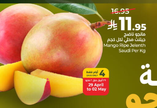 Mango from Saudi Arabia available at LULU Hypermarket in KSA, Saudi Arabia, Saudi - Hafar Al Batin