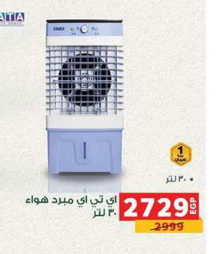 available at بنده in Egypt - القاهرة