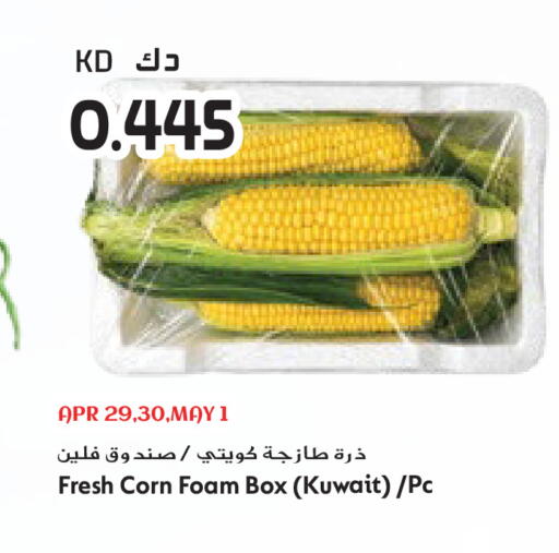 from Kuwait available at جراند هايبر in الكويت - مدينة الكويت