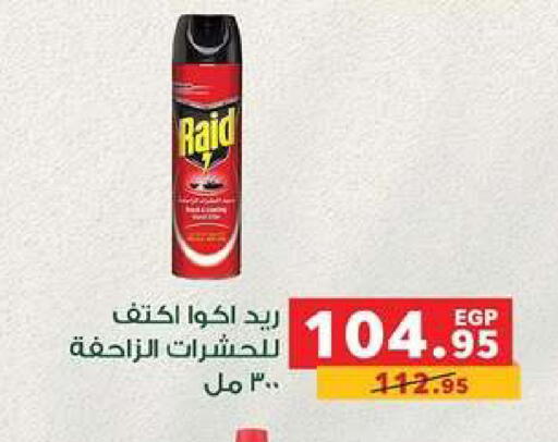 available at Panda  in Egypt - Cairo