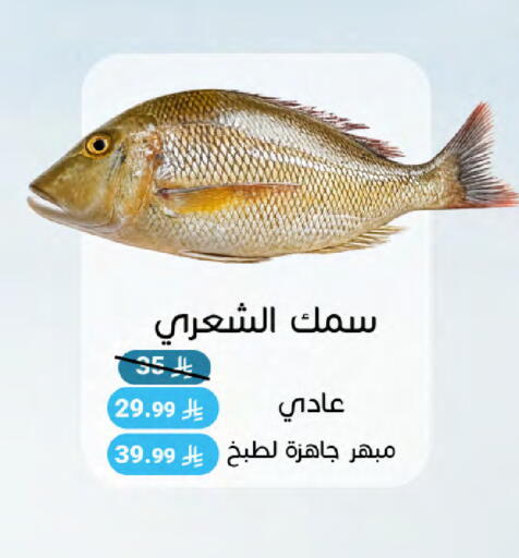 available at اسواق المنتزه in مملكة العربية السعودية, السعودية, سعودية - سيهات