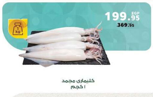available at بنده in Egypt - القاهرة