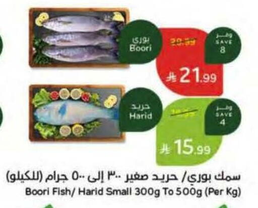 available at هايبر بنده in مملكة العربية السعودية, السعودية, سعودية - خميس مشيط