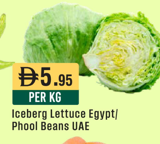 Lettuce from Egypt available at ويست زون سوبرماركت in الإمارات العربية المتحدة , الامارات - أبو ظبي
