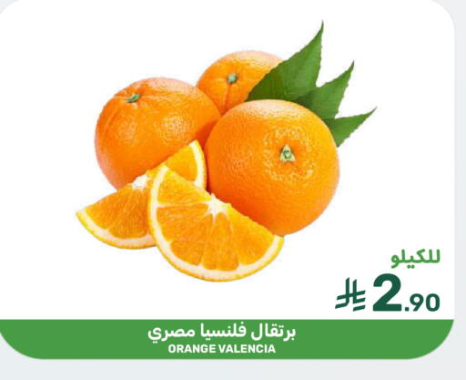 Orange available at Mazaya in KSA, Saudi Arabia, Saudi - Dammam