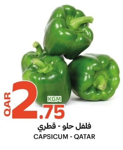 Capsicum from Qatar available at البلدي اليوم in قطر - الدوحة