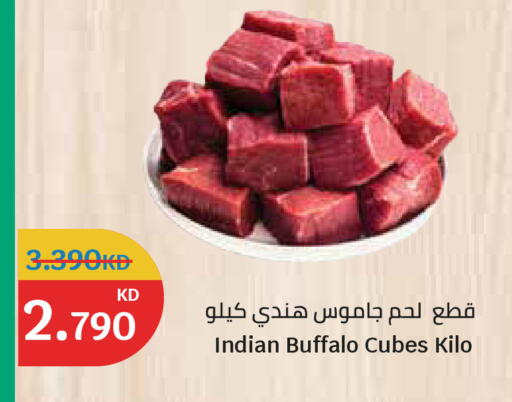 available at سيتي هايبرماركت in الكويت - مدينة الكويت