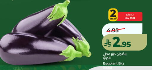 Eggplant from Saudi Arabia available at لولو هايبرماركت in مملكة العربية السعودية, السعودية, سعودية - خميس مشيط