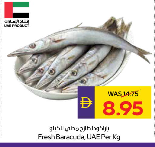 available at أدكووب in الإمارات العربية المتحدة , الامارات - أبو ظبي