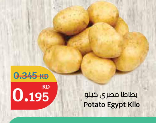 Potato from Egypt available at سيتي هايبرماركت in الكويت - مدينة الكويت