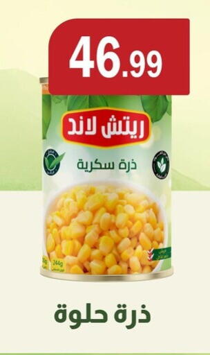 available at ABA market in Egypt - Cairo