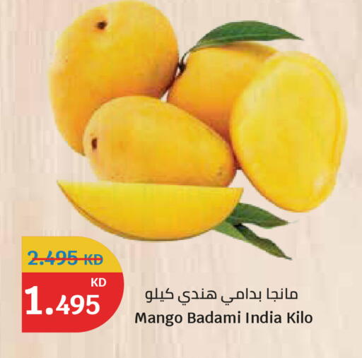 Mango from India available at سيتي هايبرماركت in الكويت - مدينة الكويت