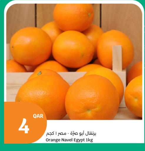 Orange from Egypt available at سيتي هايبرماركت in قطر - أم صلال