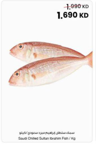 available at مركز سلطان in الكويت - مدينة الكويت