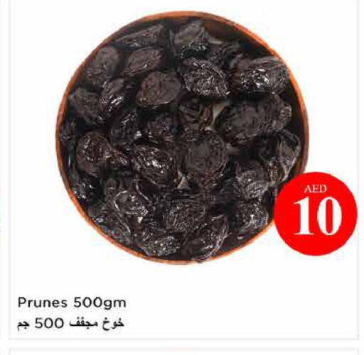 available at لاست تشانس in الإمارات العربية المتحدة , الامارات - ٱلْفُجَيْرَة‎