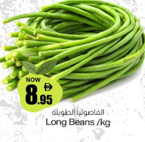 available at ميم ساجدة in الإمارات العربية المتحدة , الامارات - ٱلْفُجَيْرَة‎