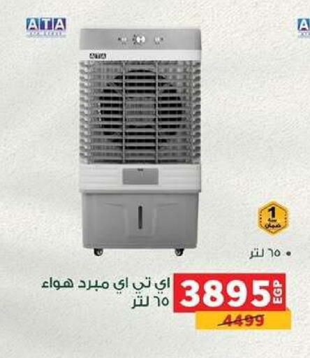 available at بنده in Egypt - القاهرة