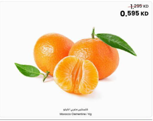from Morocco available at مركز سلطان in الكويت - مدينة الكويت