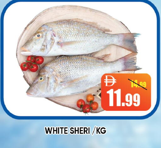 available at ليبتس هايبرماركت in الإمارات العربية المتحدة , الامارات - رَأْس ٱلْخَيْمَة