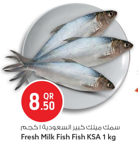 available at سفاري هايبر ماركت in قطر - الدوحة