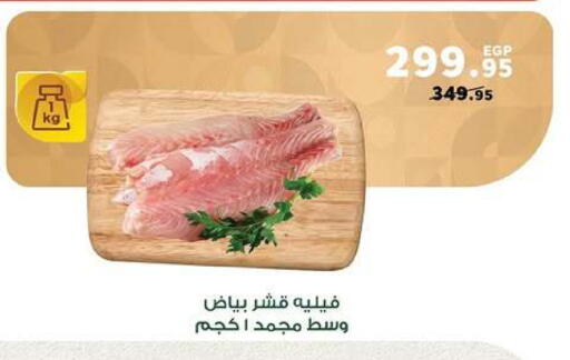 available at بنده in Egypt - القاهرة