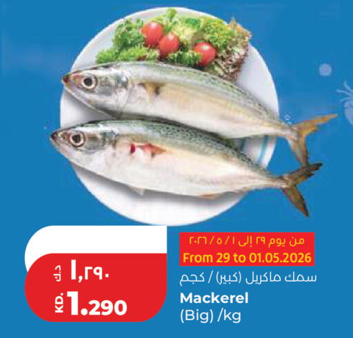 available at لولو هايبر ماركت in الكويت - مدينة الكويت