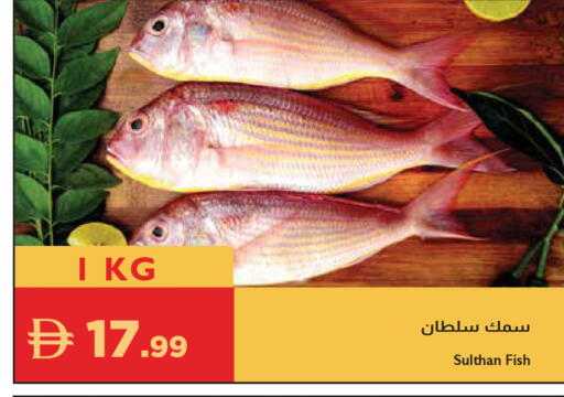 available at إسطنبول سوبرماركت in الإمارات العربية المتحدة , الامارات - رَأْس ٱلْخَيْمَة