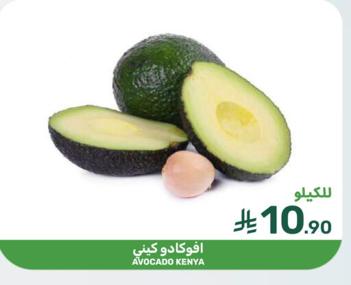 Avocado from Kenya available at  مـزايــا in مملكة العربية السعودية, السعودية, سعودية - سيهات