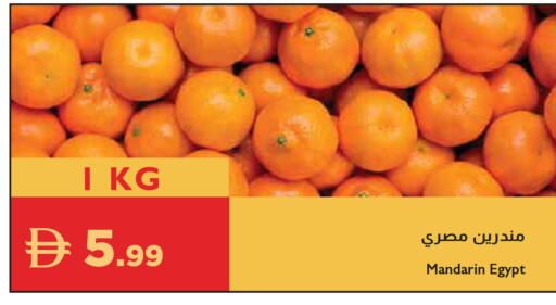 Mandarin from Egypt available at إسطنبول سوبرماركت in الإمارات العربية المتحدة , الامارات - رَأْس ٱلْخَيْمَة