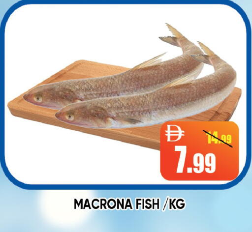 available at ليبتس هايبرماركت in الإمارات العربية المتحدة , الامارات - رَأْس ٱلْخَيْمَة
