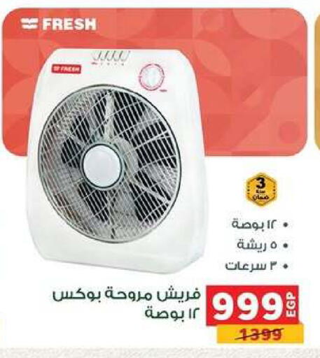 available at بنده in Egypt - القاهرة