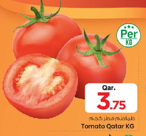 Tomato from Qatar available at مارك & سيف in قطر - الدوحة