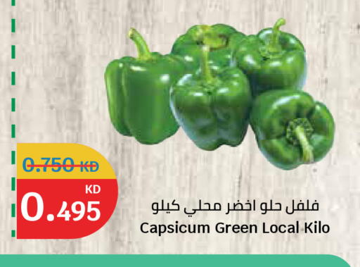 Capsicum available at سيتي هايبرماركت in الكويت - مدينة الكويت