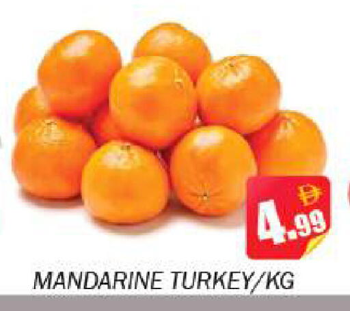 from Turkey available at Souk Al Mubarak Hypermarket in UAE - Sharjah / Ajman