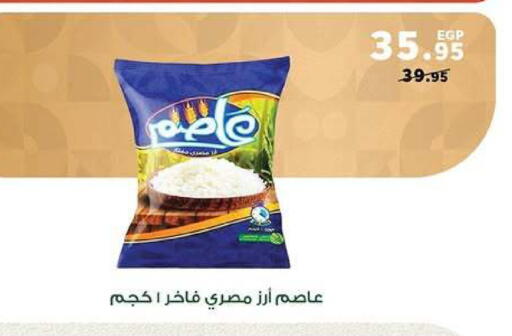 available at بنده in Egypt - القاهرة