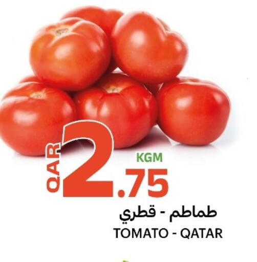 Tomato from Qatar available at البلدي اليوم in قطر - الدوحة