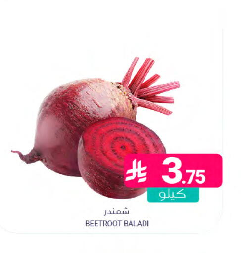 Beetroot available at Muntazah Markets in KSA, Saudi Arabia, Saudi - Saihat