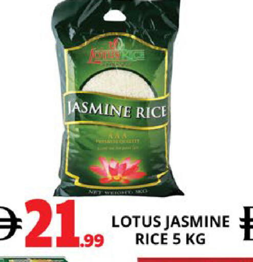 available at EXPRESS AL MADEENA HYPERMARKET LLC in UAE - Abu Dhabi