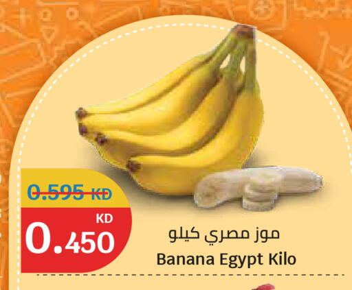 Banana from Egypt available at سيتي هايبرماركت in الكويت - مدينة الكويت