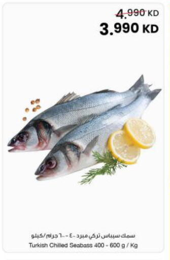 available at مركز سلطان in الكويت - مدينة الكويت