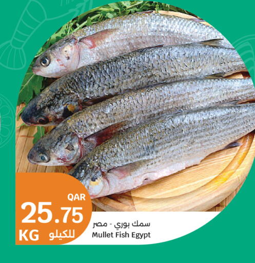 available at City Hypermarket in Qatar - Doha