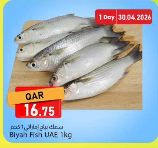 available at دانا ماركت in قطر - الدوحة