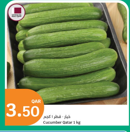 Cucumber from Qatar available at سيتي هايبرماركت in قطر - أم صلال