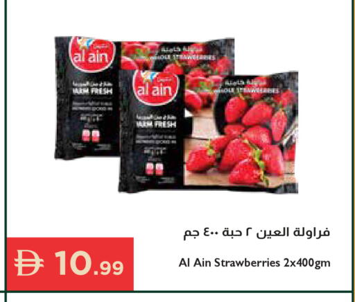available at إسطنبول سوبرماركت in الإمارات العربية المتحدة , الامارات - رَأْس ٱلْخَيْمَة